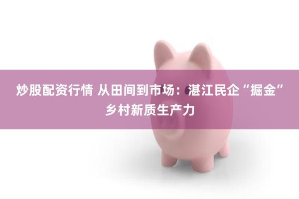 炒股配资行情 从田间到市场：湛江民企“掘金”乡村新质生产力