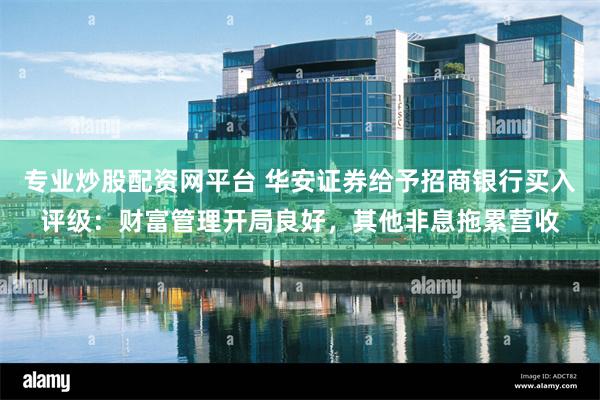 专业炒股配资网平台 华安证券给予招商银行买入评级：财富管理开局良好，其他非息拖累营收