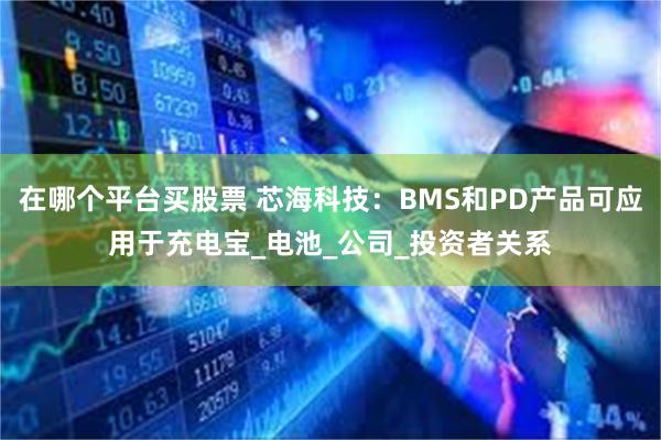 在哪个平台买股票 芯海科技：BMS和PD产品可应用于充电宝_电池_公司_投资者关系