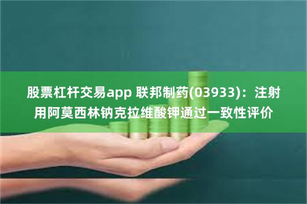 股票杠杆交易app 联邦制药(03933)：注射用阿莫西林钠克拉维酸钾通过一致性评价