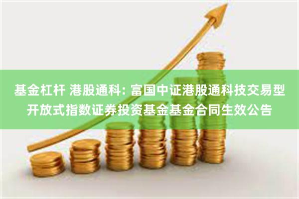 基金杠杆 港股通科: 富国中证港股通科技交易型开放式指数证券投资基金基金合同生效公告