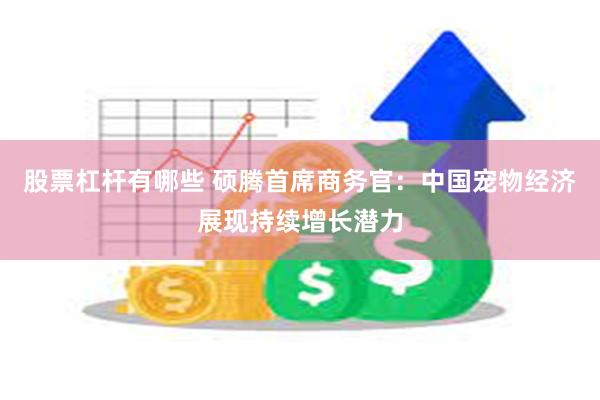 股票杠杆有哪些 硕腾首席商务官：中国宠物经济展现持续增长潜力