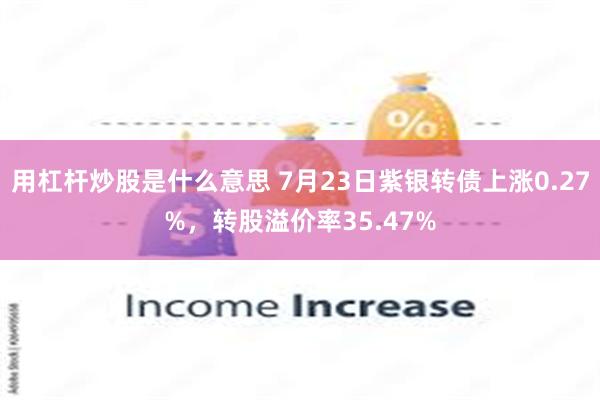 用杠杆炒股是什么意思 7月23日紫银转债上涨0.27%，转股溢价率35.47%