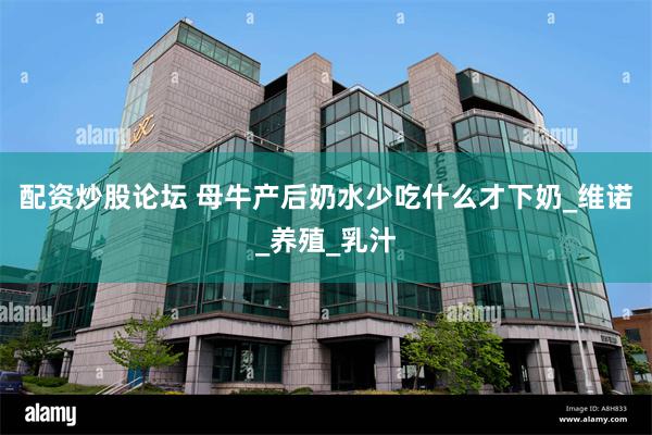 配资炒股论坛 母牛产后奶水少吃什么才下奶_维诺_养殖_乳汁