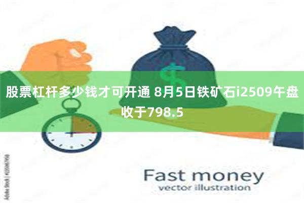 股票杠杆多少钱才可开通 8月5日铁矿石i2509午盘收于798.5