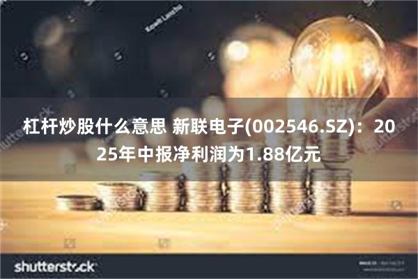 杠杆炒股什么意思 新联电子(002546.SZ)：2025年中报净利润为1.88亿元