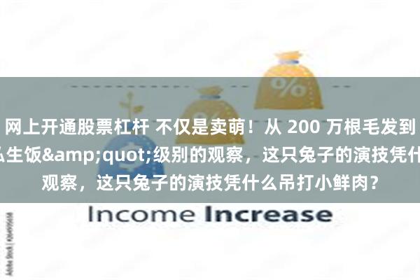 网上开通股票杠杆 不仅是卖萌!从 200 万根毛发到"私生饭"级别的观察,这只兔子的演技凭什么吊打小鲜肉?