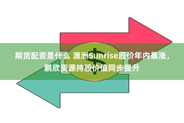 期货配资是什么 澳洲Sunrise股价年内暴涨,鹏欣资源持股价值同步提升